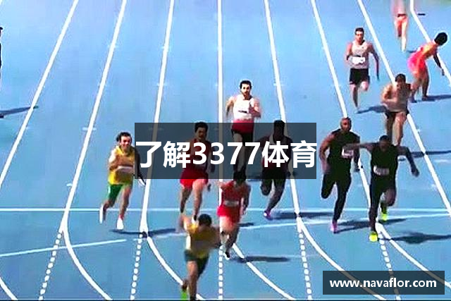了解3377体育